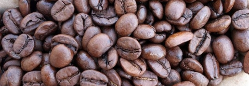 Café robusta cai quase US$ 40 por tonelada nesta 2ª feira na Bolsa de Londres