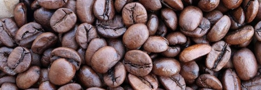 Exportações globais de café aumentam 11% em julho, diz OIC