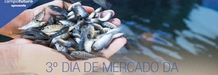 Dia de Mercado da aquicultura debate ações para o comércio de pescados