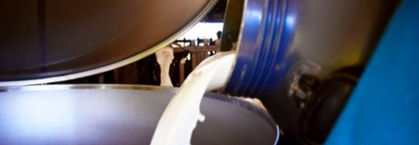 Mesmo na estiagem, leite produzido com orientação técnica do SENAR/MS é quatro vezes maior que média estadual