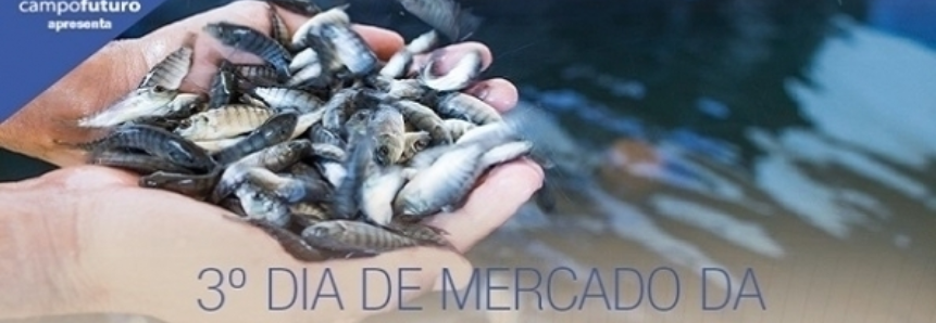 Dia de Mercado apresenta ações para desenvolvimento da piscicultura