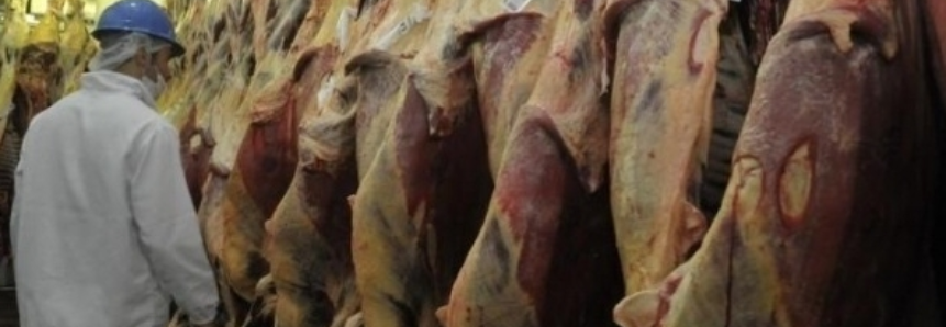 Alta no volume de carne bovina in natura exportada pelo Brasil em agosto