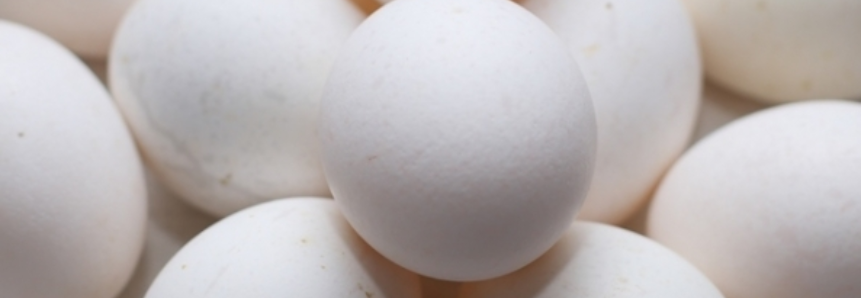 Ovos sofrem nova baixa de preços