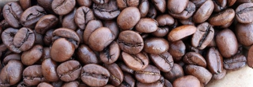 Café: Bolsa de Nova York estende perdas da véspera nesta manhã de 3ª feira