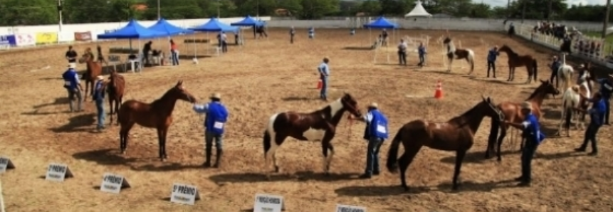 Sistema FAEPE/SENAR-PE anuncia a 11ª Festa do Cavalo