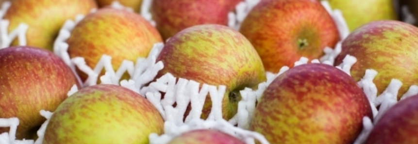 Custo das frutas segue variado, mas maçã tem queda de preços nas Ceasas