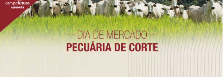 Dia de Mercado debaterá pecuária de corte no Paraná