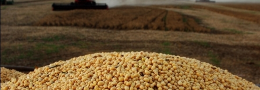USDA eleva previsão de exportação de soja do Brasil em 2017/18; mantém safra