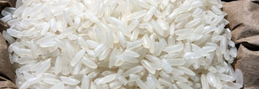 Safra catarinense de arroz totaliza 1,17 milhão de toneladas