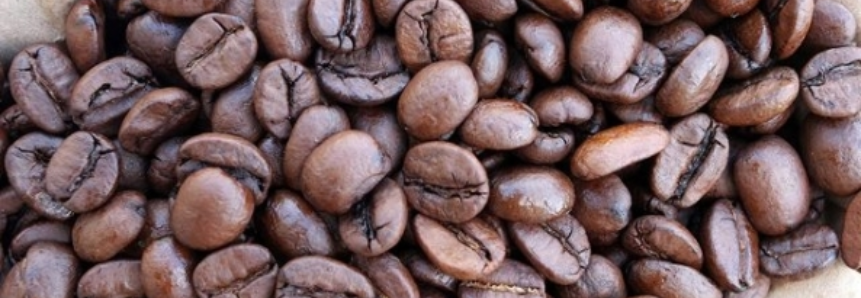 Primeiro Fórum Mundial de produtores de café ocorre nesta semana na Colômbia