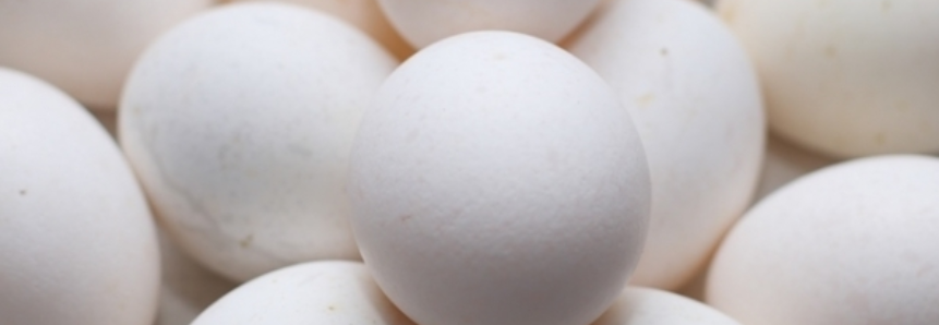 Ovos: Oferta restrita e aumento da demanda sustentam os preços