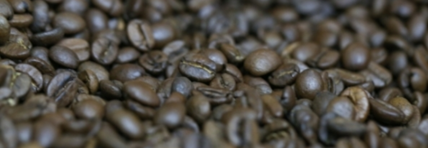 Colheita de café chega à 50% da produção, diz Safras e Mercado
