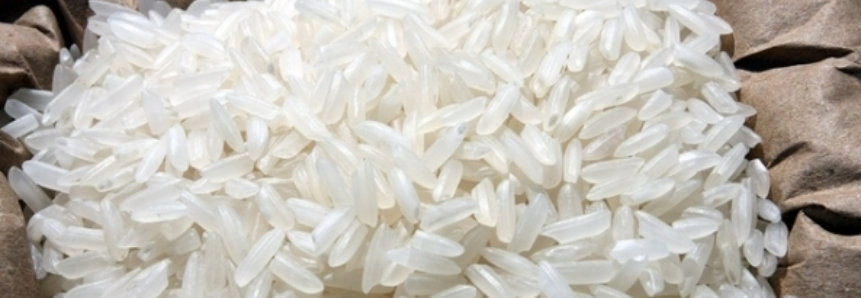 Produtores de SC comemoram safra de arroz acima da média
