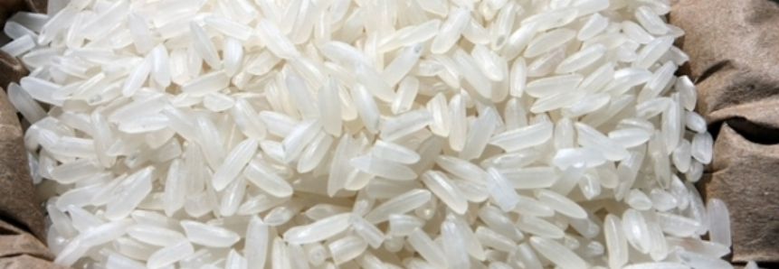 Safra de arroz no Norte do Estado cresce 25%