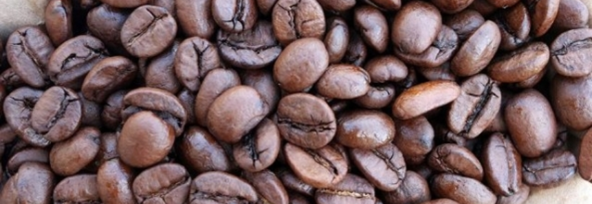 Exportações globais de café decepcionam Organização Internacional do Café