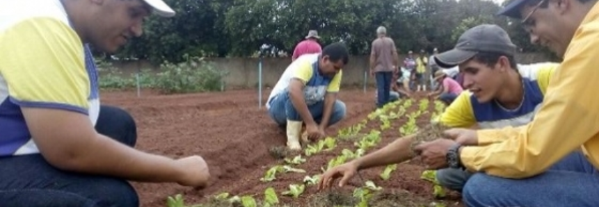 Educadora da APAE destaca benefícios cognitivos em curso de horta realizado em Ivinhema