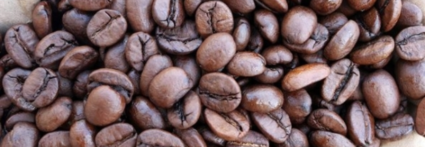 Brasil deve produzir 52,1 milhões de sacas de café, diz USDA