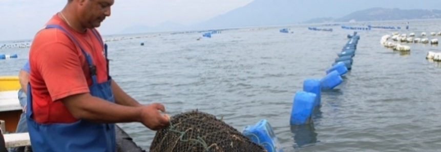 Maricultura: plantando no mar