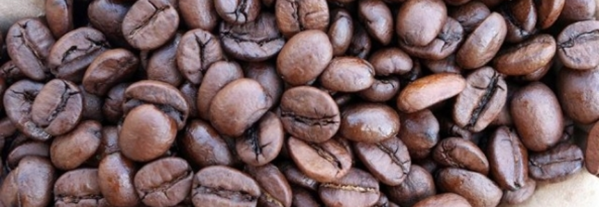 Café: Colheitas de arábica e robusta avançam; ritmo de negócios é lento