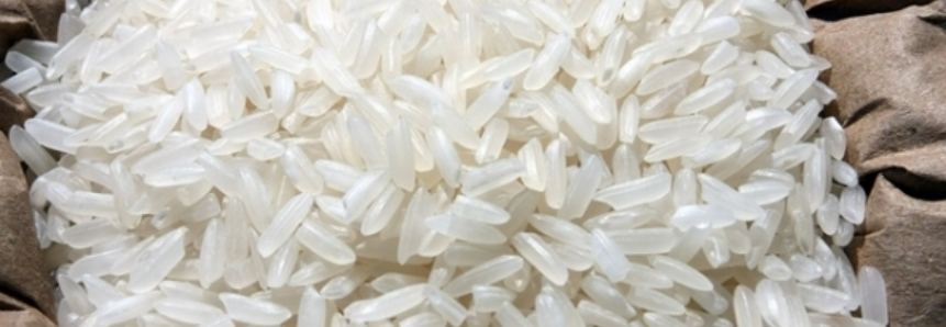 EUA vai reduzir produção de arroz na safra 2017/18