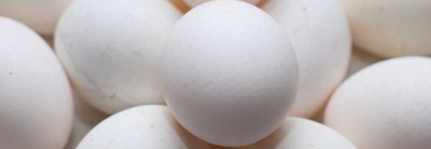 Em mercado especulado, ovos alcançam novas correções