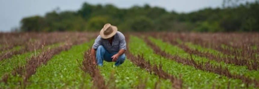 Agricultura empresarial contrata R$ 72 bilhões da atual safra