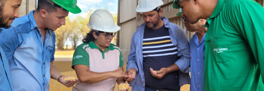 Formação do Senar capacita trabalhadores rurais de empresa em classificação de grãos