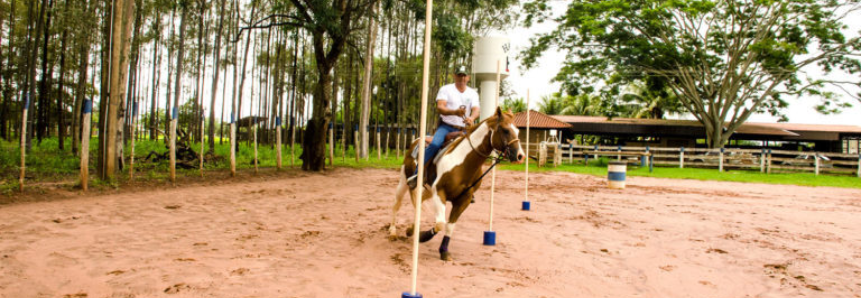 SENAR-SP lança programa Atividades Equestres no Meio Rural Paulista