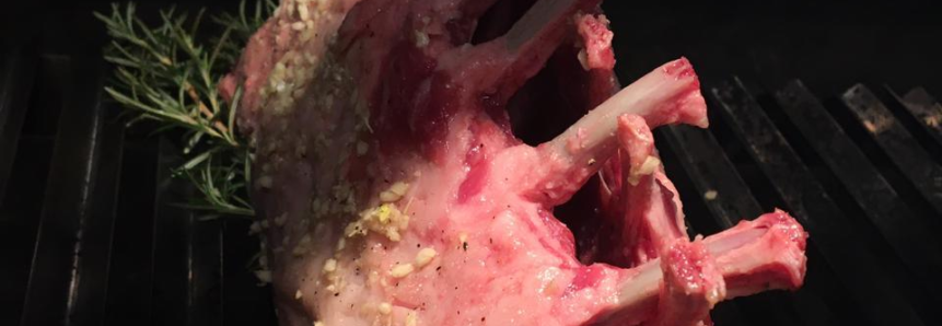 Do nascimento ao abate: cuidados elevam a qualidade da carne de cordeiro e trazem suculência à mesa
