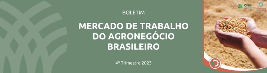 COMUNICADO TECNICO 31