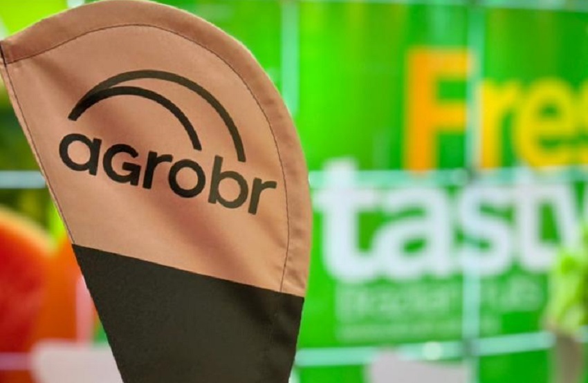 agroBR encerra participação na Fruit Attraction 2025 com novos contratos de exportação