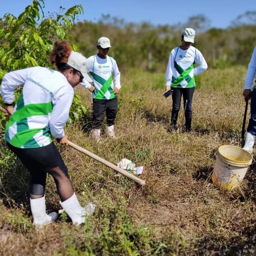 Senar-AR/AM realiza atividade prática para turmas dos cursos técnicos ...