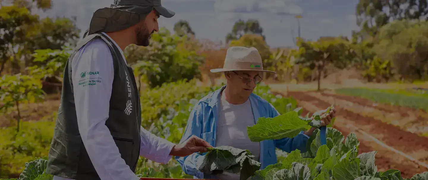 Liderança, Capacitação e Inovação no Agro Brasileiro
