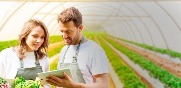 Faculdade CNA debate ações de empreendedorismo e inovação para o setor agropecuário