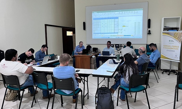 Painel de grãos em Campo Novo do Parecis