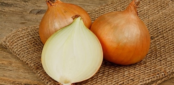 Previsão dos preços de cebola para os primeiros meses de 2017 é de alta