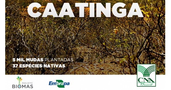 Cna post biomas caatinga web2 0 700788002015150611871