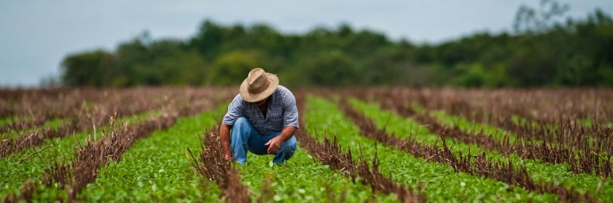 Após atuação do Sistema Faep, CMN prorroga prazo da restrição no crédito por regra ambiental