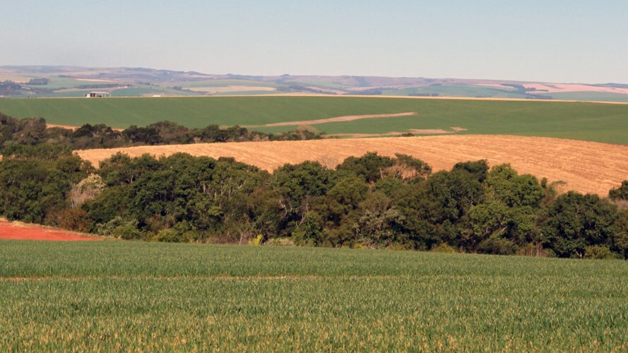 Sistema FAEP aguarda rápida sanção presidencial do PL que prorroga a ratificação de imóveis em faixa de fronteira