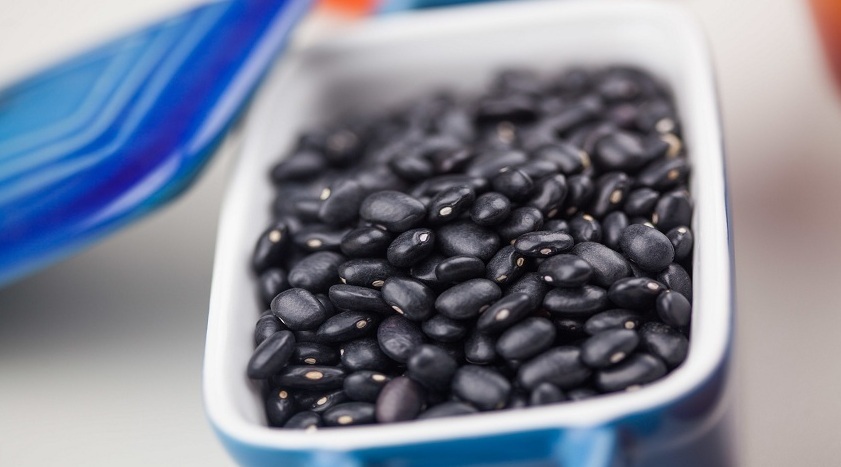 Oferta elevada mantém pressão e feijão segue em queda em novembro, indica CNA/Cepea