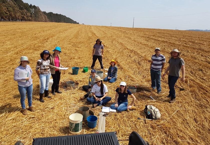 Produção agrícola no Paraná é referência em sustentabilidade
