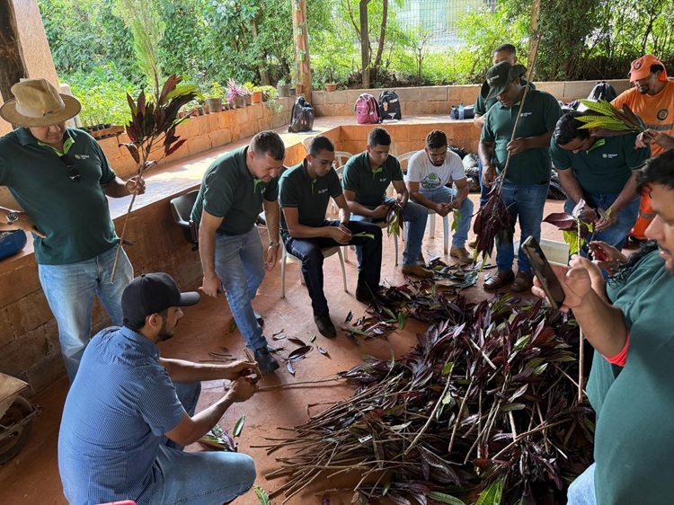 O estudante em aula prática do curso Técnico em Agricultura.
