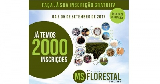 Ms florestal online 0 314811002015150609121