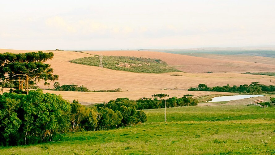 Sistema FAEP é contra o aumento de custos cartoriais