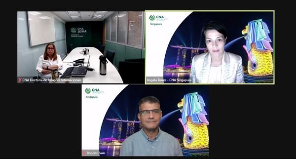 CNA realiza webinar sobre comércio eletrônico no Sudeste Asiático