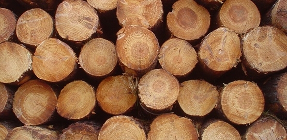 Fibria vê demanda robusta por celulose, reduzirá produção em Aracruz em 2018