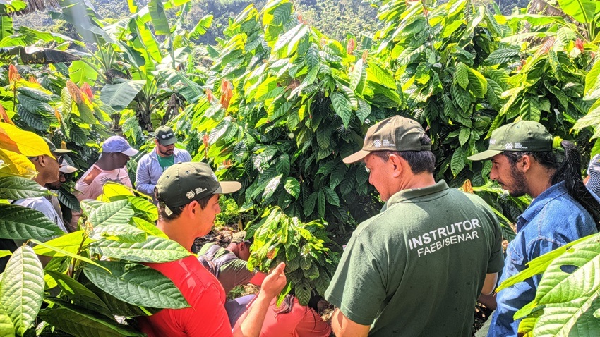 De junho de 2023 a maio de 2025 ele atuou como técnico de campo do Programa de Assistência Técnica e Gerencial (ATeG)