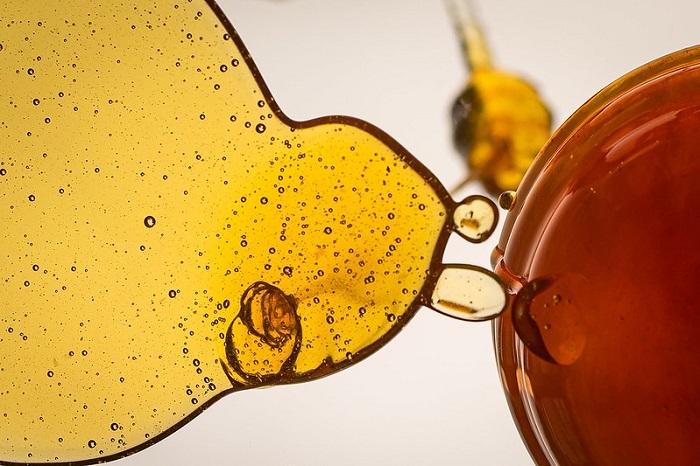 CNA realiza júri popular do concurso do mel em Goiânia