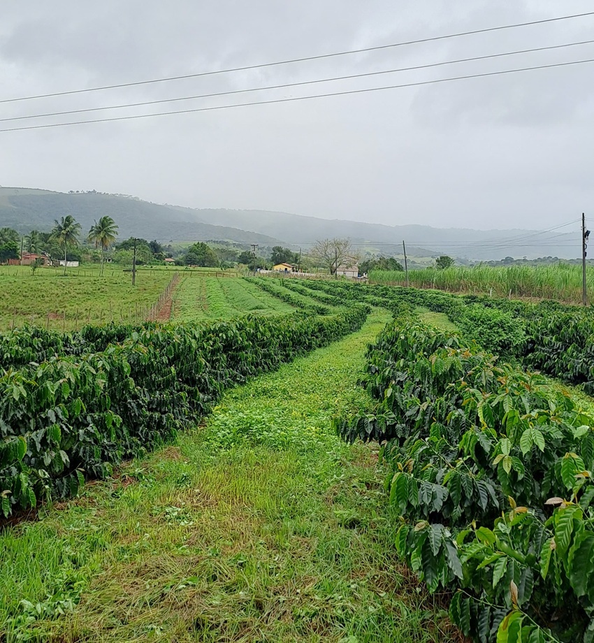 Sítio Triunfo, em Alagoa Grande (PB)